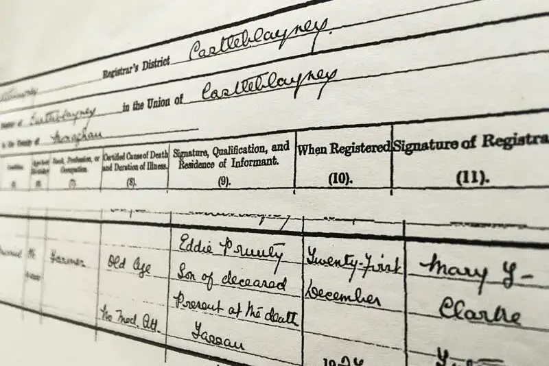 Irish Genealogy Record